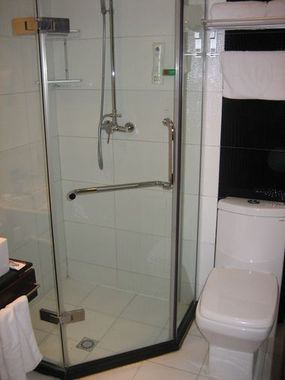 Shower and Toilet