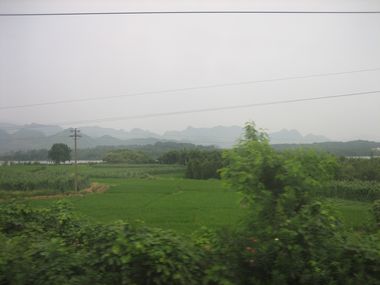 View from the Window - Countryside