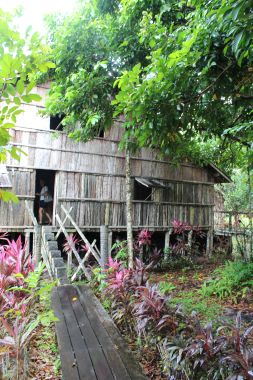 Entering the Iban Longhouse