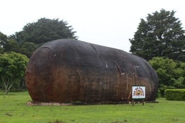 Giant Potato!