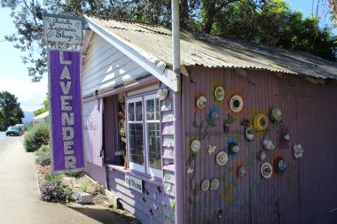 Bodalla Lavender Shop