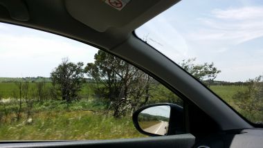 Scenery on the M31 to Sydney