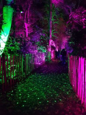Trail with Disco Lights