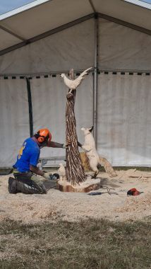 Chainsaw Carving Bird on Stump