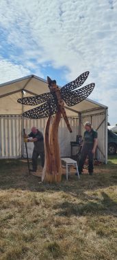 Chainsaw Carving - Dragonfly