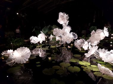 Ethereal White Persian Pond