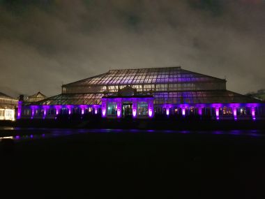 Temperate House Laser Show