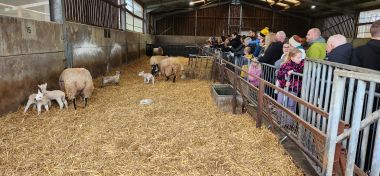 Initial Pen of Recent Mothers