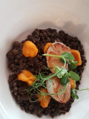 Lentils and scallops