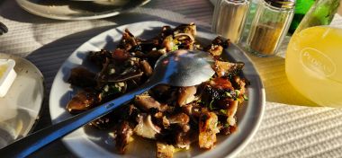 Roasted Pork Ear ("Orelha Assada")