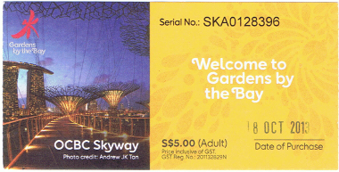 Skyway Ticket