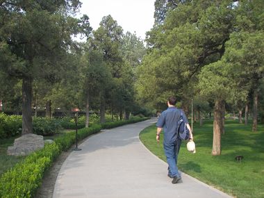 Walking Through the Park (SW)