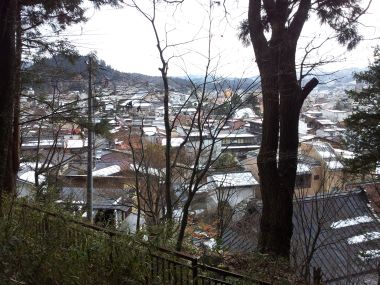 View of Takayama Through the Trees