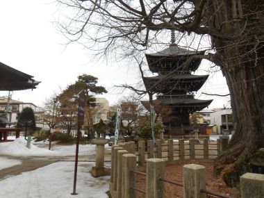 Ginko and Pagoda