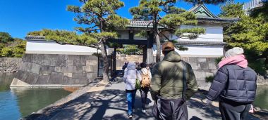 Entering the Palace