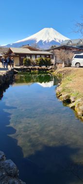Pond and Fuji