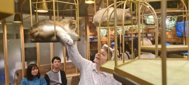 Mel with Hanging Cat