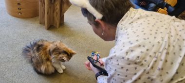 Mel Offering Food to Cat