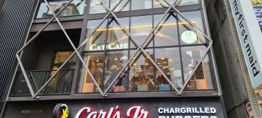Cat Café from Street