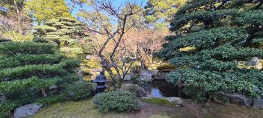 Trees in the Garden
