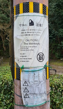 Monkey Signs
