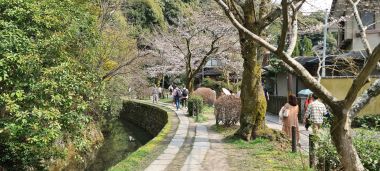 Philosopher's Path