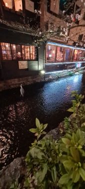 Heron and Shops