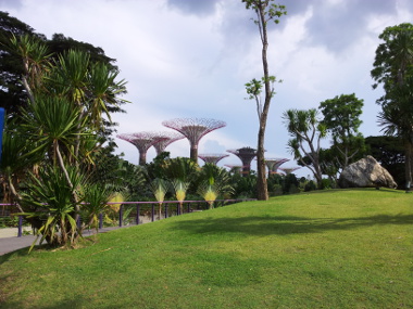 Gardens by the Bay (Supertree Grove)