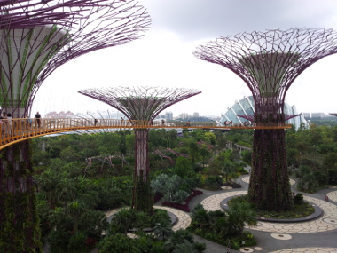 Gardens by the Bay (Supertree Grove Aerial Walkway)