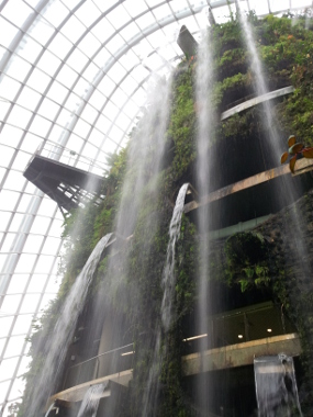 Gardens by the Bay (Cloud Forest)