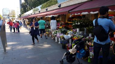 Flower Market near Viru Gate