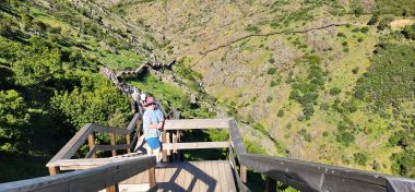 Half Way Down