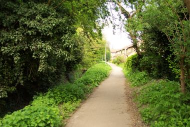 Bike Path (Near Cherry Hinton)