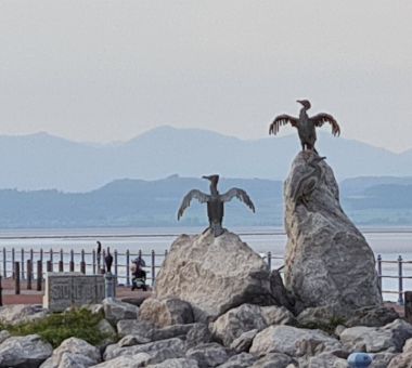 Cormorant Sculpture on the Stone Jetty Cormorant Sculpture on the Stone Jetty