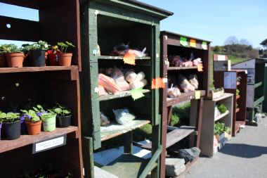 Local produce for sale beside the road in honesty boxes