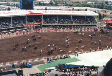 The Calgary Stampede itself