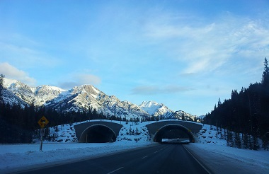 Between Banff and Lake Louise